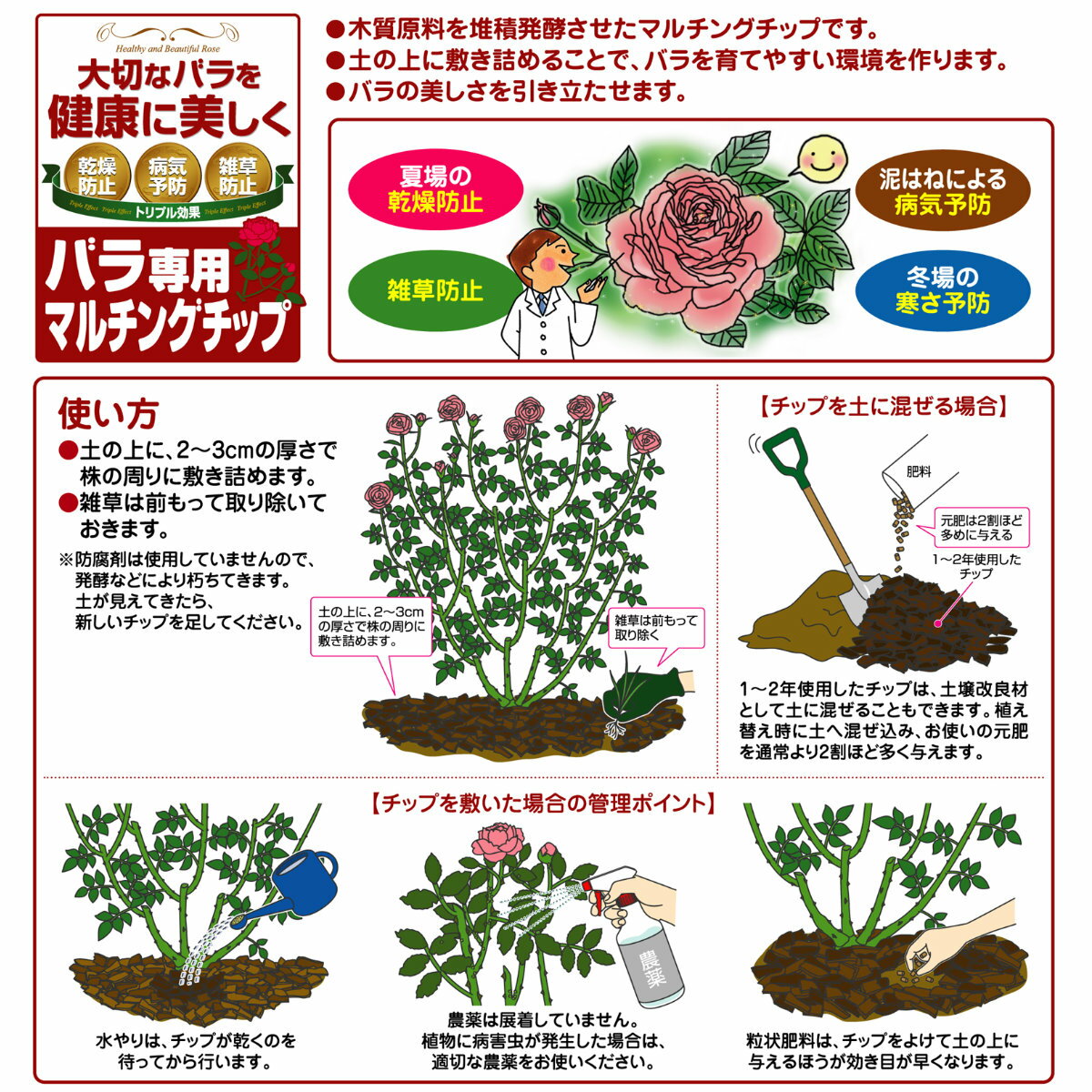 ���������ꡪ���ʥݥ����3�ܥ����ڡ���»��桪���С������� �Х����ѥޥ���󥰥��å� 5L �֤����� ��� �����ǥ˥� �ӥ��ʡ����� �鿴�Ը���