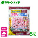 洋らん 培養土 洋ランの培養土 5L 花ごころ 園芸 ガーデニング ビギナー向け 初心者向け