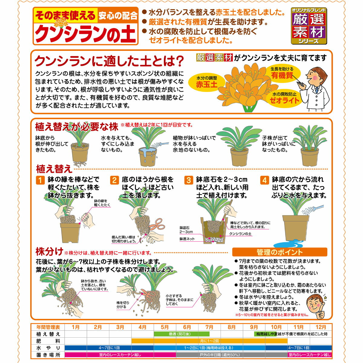 ������ ���󥷥����� 12L �֤����� ������ �����ǥ˥� ��� �ӥ��ʡ����� �鿴�Ը���