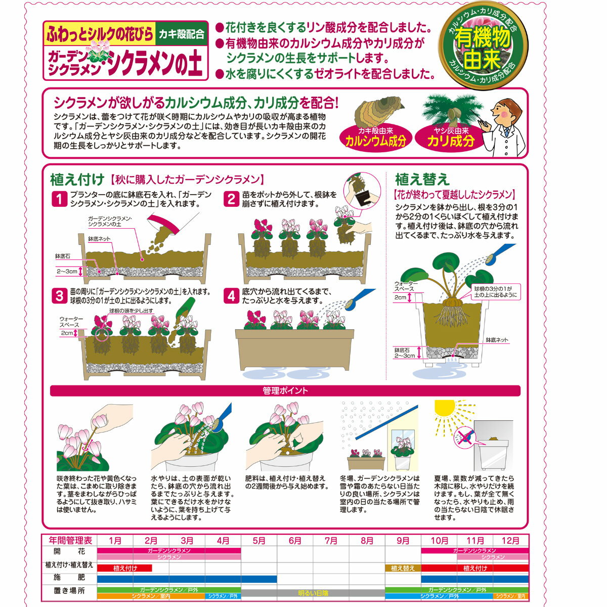 ���������ꡪ���ʥݥ����3�ܥ����ڡ���»��桪���������� ������ �����ǥ󥷥����󡦥���������� 5L �֤����� �����ǥ˥� ��� �ӥ��ʡ����� �鿴�Ը��� ���祻����