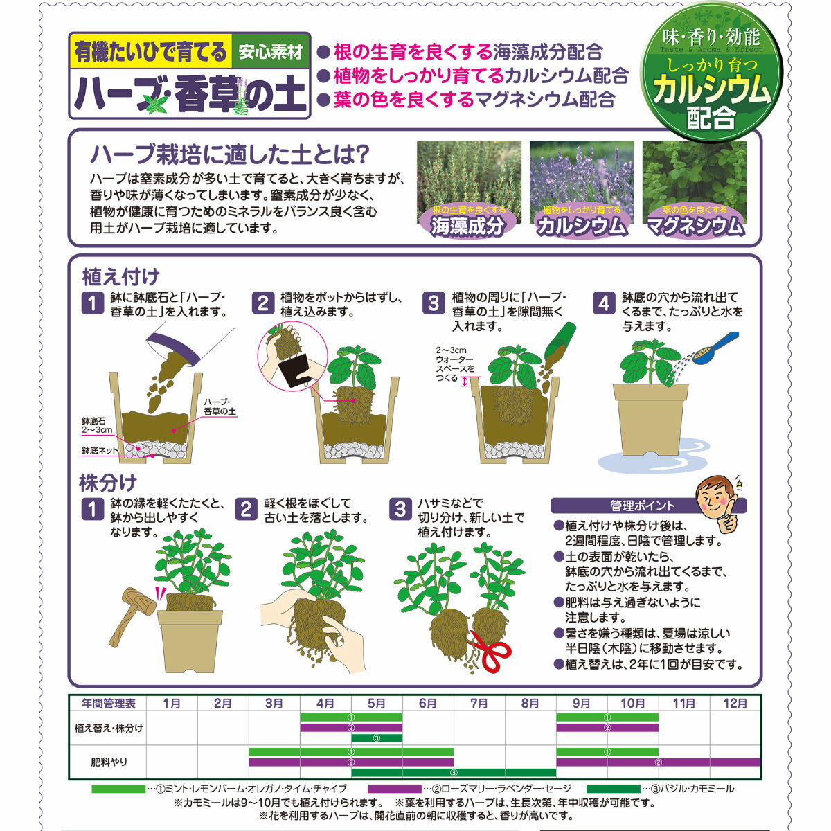 �ϡ��� ������ �ϡ��֡�������� 12L �֤����� �����ڱ� �����ǥ˥� ��� �ӥ��ʡ����� �鿴�Ը��� ���祻����