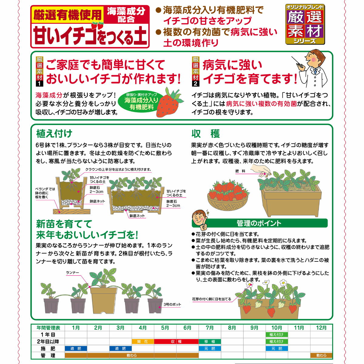 ＼エントリーで全品ポイント10倍キャンペーン実施中！／イチゴ 培養土 甘いイチゴ...