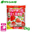 \本日開催!全品ポイント5倍キャンペーン実施中!/イチゴ 肥料 甘いイチゴをつくる肥料 2kg 花ごころ 家庭菜園 ガーデニング 果物 園芸 ビギナー向け 初心者向け 応援セール