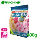\明日開催!購入点数に応じて使える最大10%OFFクーポン発行中!/洋ラン 肥料 洋らんの肥料 400g 花ごころ シンビジウム ガーデニング 園芸 ビギナー向け 初心者向け 応援セール