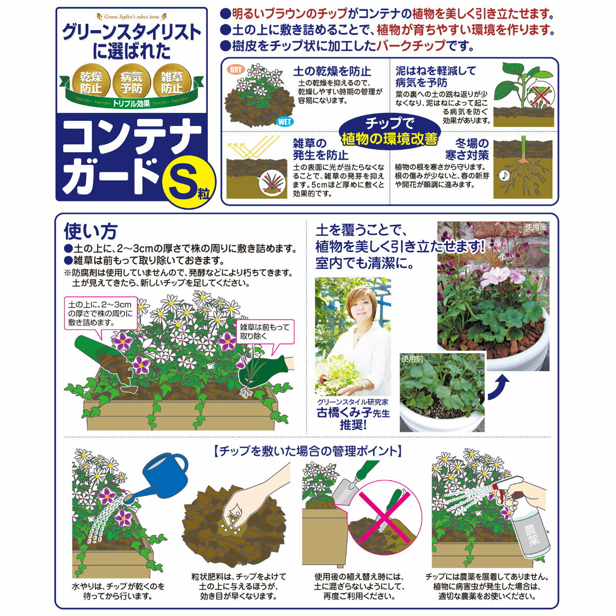 ���������ꡪ���ʥݥ����3�ܥ����ڡ���»��桪���ޥ���� ����ƥʥ�����Sγ 3L �֤����� �����ǥ˥� ��� �ӥ��ʡ����� �鿴�Ը��� ���祻����