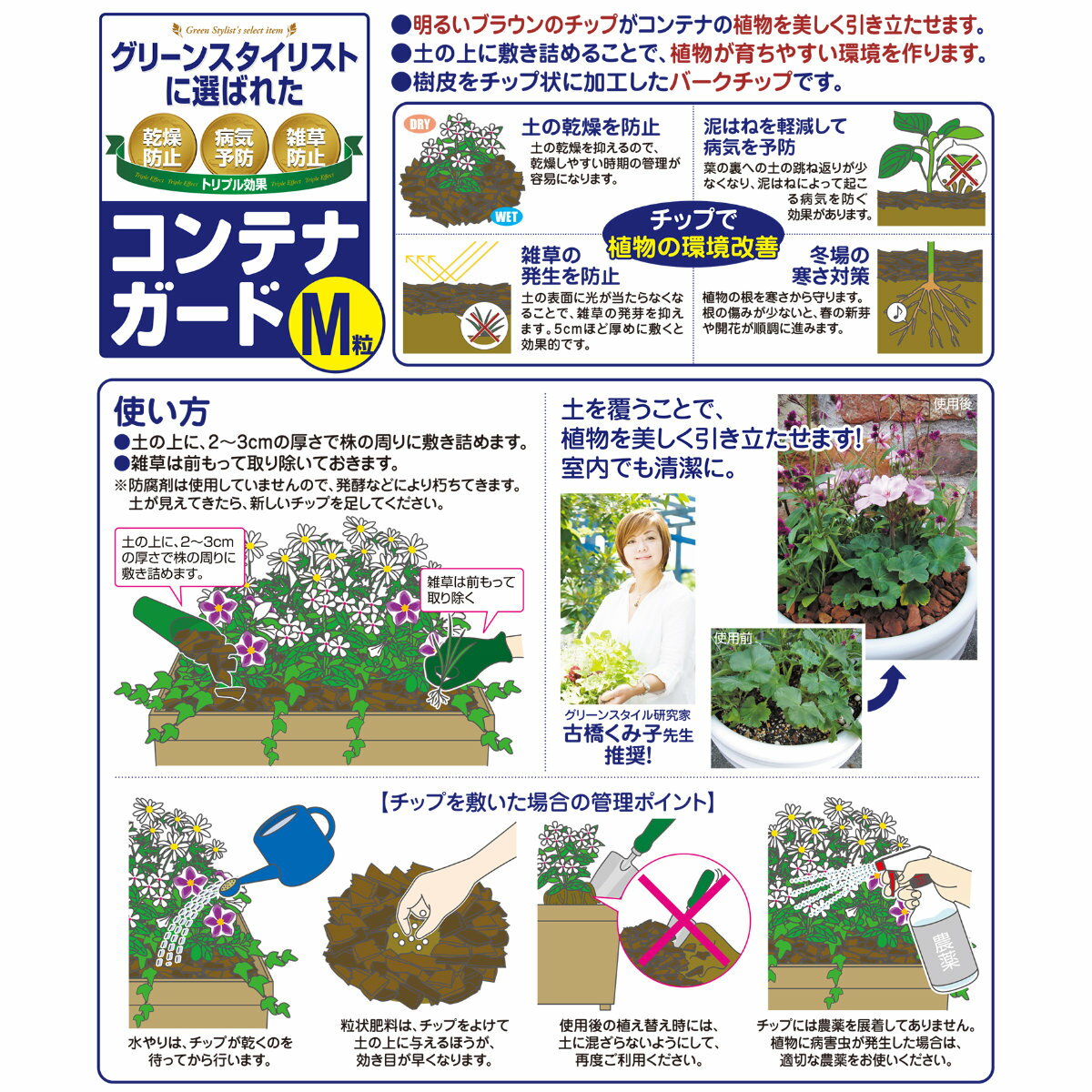 ���������ꡪ���ʥݥ����3�ܥ����ڡ���»��桪���ޥ���� ����ƥʥ�����Mγ 3L �֤����� �����ǥ˥� ��� �ӥ��ʡ����� �鿴�Ը��� ���祻����