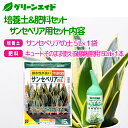 greenaid:10001423のサンプル画像2
