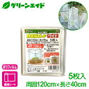 フィルム 野菜苗ガードワイド 5枚入り 第一ビニール 防風 防寒 霜 苗 家庭菜園 野菜 ガード 園芸 ガーデニング 初心者向け ビギナー向け 園芸用品 農業用...