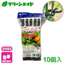 \期間限定!購入金額に応じて使える最大1200円OFFクーポン発行中!/結束具 クリップ くき止めクリップ 直径16mm〜20mm支柱用 10個入 第一ビニール 支柱 結束 家庭菜園 園芸 ガーデニング 初心者向け ビギナー向け 応援セール