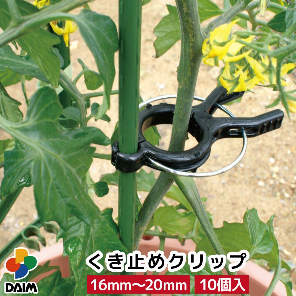 ＼期間限定！エントリーでポイント10倍キャンペーン実施中！／結束具 クリップ く...