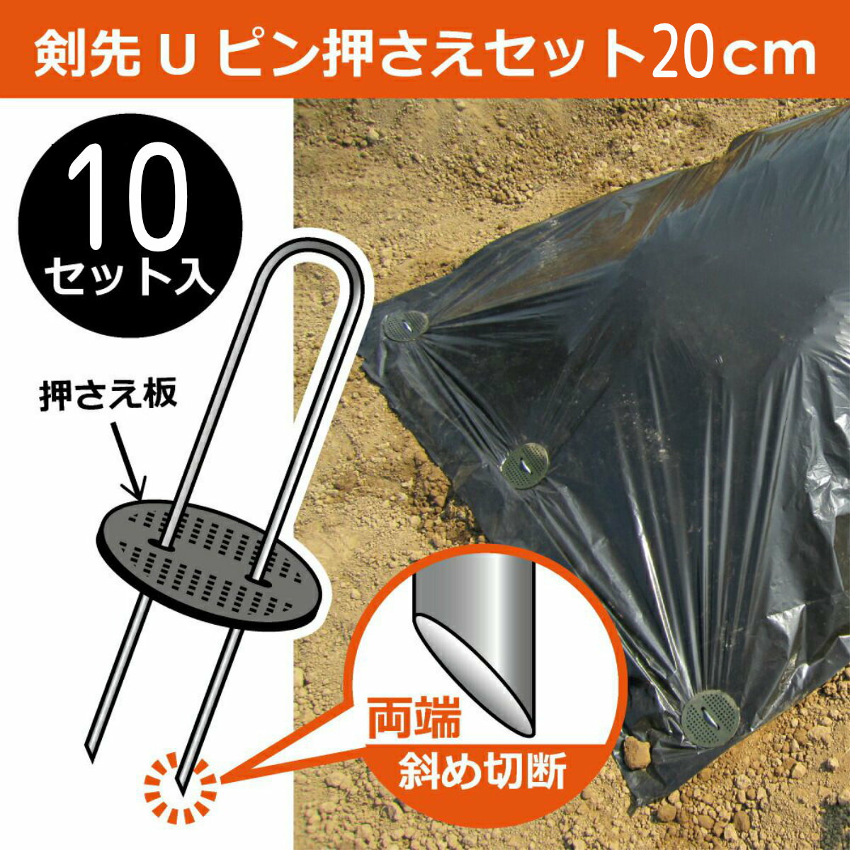 ����� ����U�ԥ󲡤������å� 20CM 10���� ���ӥˡ��� ���𥷡��� �ޥ�� �����к������� �ͥå� ���� �����ڱ� ��� �����ǥ˥� �� ������� �����ѻ�� ���Ȼ�� ���祻����