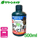 【最大400円クーポン】 万田アミノアルファ 肥料 液体 500ml万田エキス ボトル500