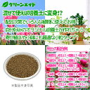 greenaid:10001403のサンプル画像2