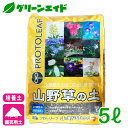 ＼4/27(土)9:59まで！エントリーでP10倍キャンペーン実施中！／【アウトレット】培養土 山野草の土 5L プロトリーフ エビネ スミレ ナデシコ ガーデニング 園芸 ビギナー向け 初心者向け