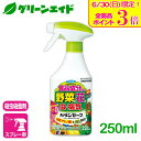 殺虫剤 殺菌剤 カダンセーフ 250ml フマキラー 病気 虫 ガーデニング 園芸 野菜 観葉植物 ビギナー向け 初心者向け\本日開催!全品ポイント3倍キャンペーン実施中!/