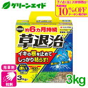 \7/4(金)20時開始!先着限定最大10%OFFクーポン発行中!/除草剤 粒剤 草退治E粒剤 3KG 住友化学園芸 スギナ メヒシバ カタバミ 庭 路地 駐車...