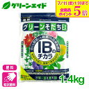 \ラスト26h限定!全品ポイント5倍キャンペーン実施中!/肥料 定番 グリーンそだちEX IBのチカラ 1.4kg 花ごころ ガーデニング 園芸 鉢花 草花 観葉植物 ビギナー向け 初心者向け