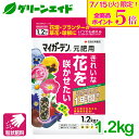 \本日開催!全品ポイント5倍キャンペーン実施中!/肥料 元肥 マイガーデン 元肥用 1.2KG 住友化学園芸 粒状 ガーデニング 園芸 ビギナー向け 初心者向け