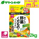 \本日開催!全品ポイント5倍キャンペーン実施中!/野菜 肥料 マイガーデン ベジフル 1.2KG 住友化学園芸 粒状 果物 元肥 追肥 家庭菜園 園芸