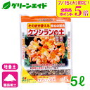 \明日開催!全品ポイント5倍キャンペーン実施予定!/培養土 クンシランの土 5L 花ごころ 君子蘭 ガーデニング 園芸 ビギナー向け 初心者向け 応援セール