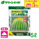 \明日開催!全品ポイント5倍キャンペーン実施予定!/サボテン 培養土 さぼてん多肉植物の土 5L 花ごころ 多肉植物 園芸 ガーデニング ビギナー向け 初心者向...