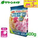 \本日開催!全品ポイント5倍キャンペーン実施中!/洋ラン 肥料 洋らんの肥料 400g 花ごころ シンビジウム ガーデニング 園芸 ビギナー向け 初心者向け 応援セール