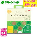 \本日開催!全品ポイント5倍キャンペーン実施中!/育苗キット かんたんタネまきキット サカタのタネ 種まきトレー 園芸 ガーデニング ビギナー向け 初心者向け
