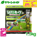 \ラスト26h限定!全品ポイント5倍キャンペーン実施中!/肥料 芝生 シバキープPro芝生のサッチ分解剤 1.5kg レインボー薬品 サッチ 刈りカス 有機 園芸 庭 ガーデニング 応援セール