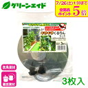\ラスト26h限定!全品ポイント5倍キャンペーン実施中!/防鳥グッズ キラキラくるりんシート 3P 第一ビニール 鳥害 忌避 家庭菜園 園芸 応援セール