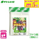 \ラスト26h限定!全品ポイント5倍キャンペーン実施中!/ブドウ 果実袋 かけぶくろ ぶどう用 30枚入 マツモト 果樹 果物 保護袋 園芸