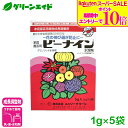 \期間限定!エントリーでP10倍&対象500品以上10%OFF!/成長調整剤 ビーナイン 1g×5袋 ニッソーグリーン 菊 はぼたん しゃくなげ 園芸 ガーデニング