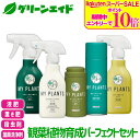 \期間限定!エントリーでP10倍&対象500品以上10%OFF!/【送料無料】5点セット 殺虫剤 肥料 葉面洗浄剤 観葉植物育成パーフェクトセット 住友化学園芸 観葉植物 園芸 ガーデニング ビギナー 初心者