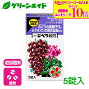 \期間限定!エントリーでP10倍&対象500品以上10%OFF!/成長調整剤 ぶどう ジベラ錠5 5錠 住友化学園芸 無種子化 生育促進 果樹 果物 野菜