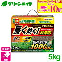 \期間限定!エントリーでP10倍&対象500品以上10%OFF!/除草剤 クサノンEX 5kg 住友化学園芸 雑草 緑地 速効 持続 応援セール