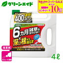 \期間限定!エントリーでP10倍&対象500品以上10%OFF!/除草剤 草退治メガロングシャワー 4L 住友化学園芸 雑草 緑地 速効 持続 応援セール