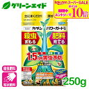 \期間限定!エントリーでP10倍&対象500品以上10%OFF!/肥料 殺虫剤 パワーガード粒剤 250G フマキラー 粒剤 家庭菜園 野菜 花 鉢花 アブラムシ 園芸 ガーデニング 初心者向け ビギナー向け