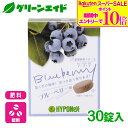 \期間限定!エントリーでP10倍&対象500品以上10%OFF!/ブルーベリー 肥料 錠剤肥料シリーズ ブルーベリー用 30錠 ハイポネックス 園芸 果物 ガーデニング ビギナー向け 初心者向け