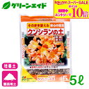 \期間限定!エントリーでP10倍&対象500品以上10%OFF!/培養土 クンシランの土 5L 花ごころ 君子蘭 ガーデニング 園芸 ビギナー向け 初心者向け 応援セール