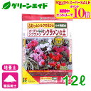 \期間限定!エントリーでP10倍&対象500品以上10%OFF!/シクラメン 培養土 ガーデンシクラメン・シクラメンの土 12L 花ごころ ガーデニング 園芸 ビギナー向け 初心者向け 応援セール
