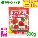 \期間限定!エントリーでP10倍&対象500品以上10%OFF!/イチゴ 肥料 甘いイチゴをつくる肥料 500g 花ごころ 家庭菜園 ガーデニング 果物 園芸 ビギナー向け 初心者向け