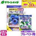 \期間限定!エントリーでP10倍&対象500品以上10%OFF!/【送料無料】 培養土&肥料セット ブルーベリー用 花ごころ ブルーベリーの土 5L ブルーベリーの肥料 500g 土 粒状肥料 園芸 ガーデニング ビギナー向け 初心者向け