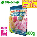 \期間限定!エントリーでP10倍&対象500品以上10%OFF!/洋ラン 肥料 洋らんの肥料 400g 花ごころ シンビジウム ガーデニング 園芸 ビギナー向け 初心者向け 応援セール
