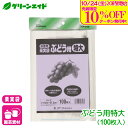 \10/24(金)20時開始!先着限定最大10%OFFクーポン発行中!/ブドウ 果実袋 果樹袋 ぶどう用特大 100枚入 マツモト 果樹 果物 保護袋 園芸