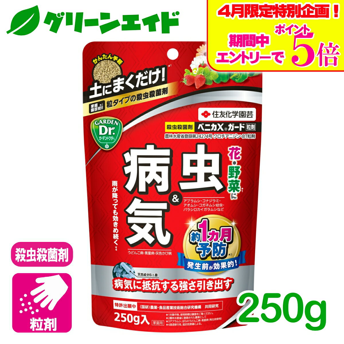 ＼4/14(火)20時開始!エントリーでP5倍&5%OFFクーポンのWセール実施予定！／殺虫剤 殺菌剤 ベニカXガード粒剤 250g 住友化学園芸 粒剤 病気 虫 ガーデニング 園芸 ビギナー向け 初心者向け