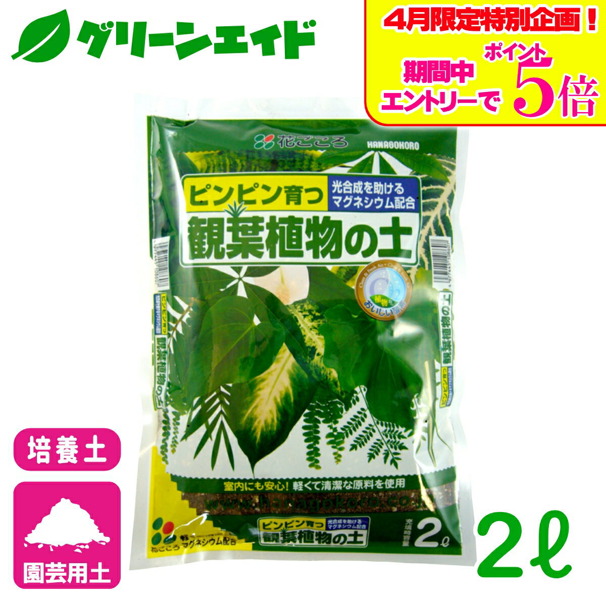 ＼エントリーで全品ポイント5倍キャンペーン実施中！／培養土 観葉植物の土 2L 花ごころ 園芸 ガーデニング ビギナー向け 初心者向け