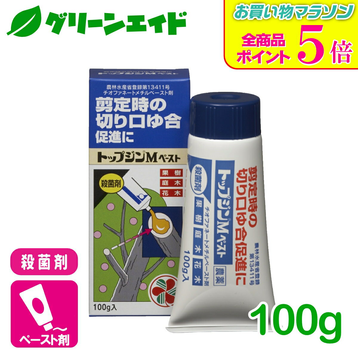 期間限定！全品ポイント5倍キャンペーン実施中！殺菌剤 トップジンMペースト 100g 住友化学園芸 果樹 果物 家庭菜園 園芸 ガーデニング