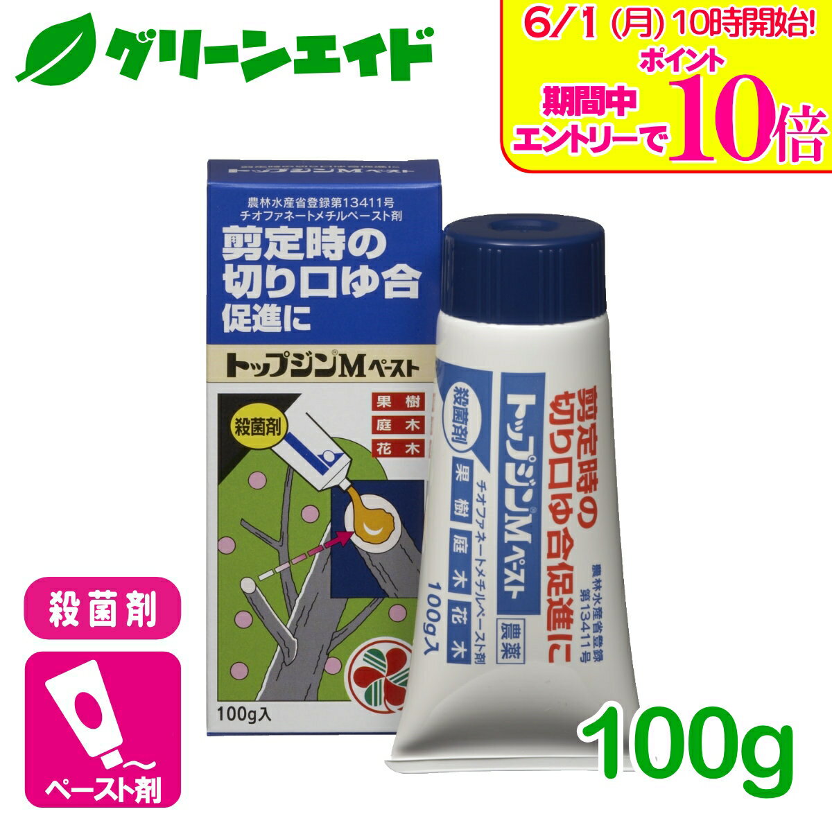 ＼エントリーで全品ポイント10倍キャンペーン実施中！／殺菌剤 トップジンMペースト 100g 住友化学園芸 果樹 果物 家庭菜園 園芸 ガーデニング