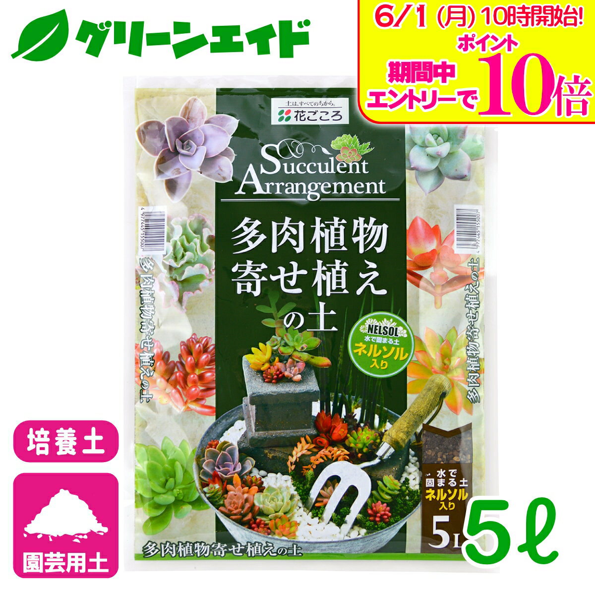 ＼エントリーで全品ポイント10倍キャンペーン実施中！／培養土 多肉植物寄せ植えの...