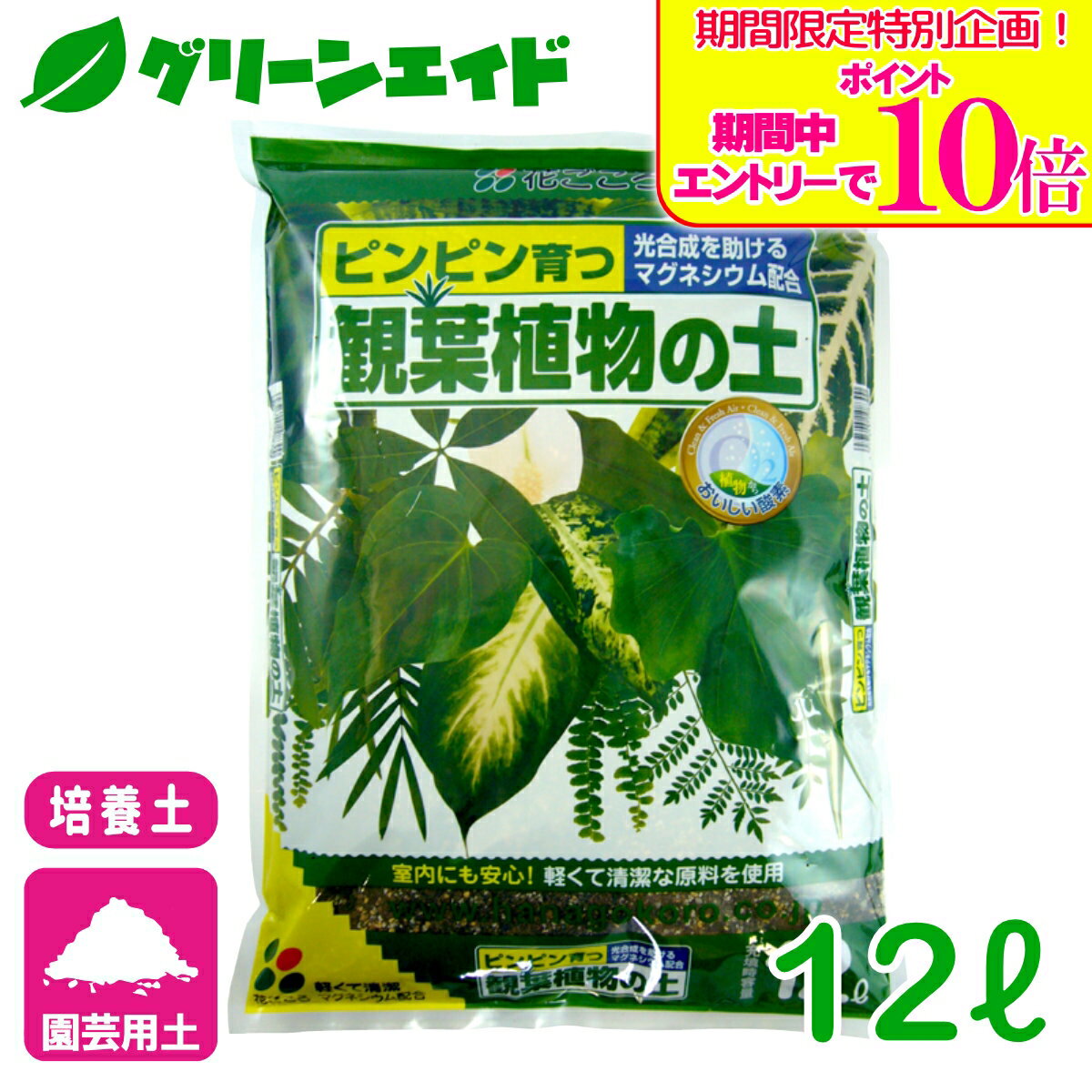 Rakuten