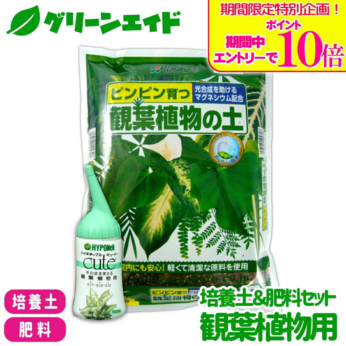 ＼期間限定！エントリーでポイント10倍キャンペーン実施中！／【送料無料】 培養土＆肥料セット 観葉植物用 花ごころ ハイポネックス 観葉植物の土 5L キュート 観葉植物用 150ml 用土 液体肥料 液肥 観葉植物 ガーデニング 園芸